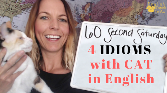 Scaredy cat  English idioms, Learn english words, English vocab